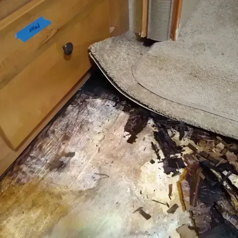 Wood Floor Water Damage in Lynwood, IL